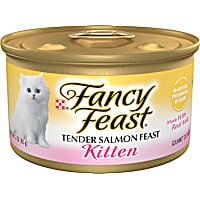 Fancy Feast Grain Free Tender Salmon Feast Pate Wet Kitten Food