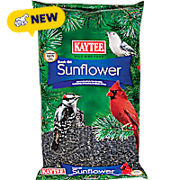 Kaytee Wild Bird Black Oil Sunflower Food