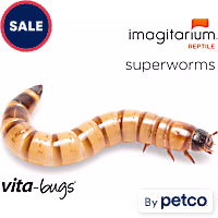 Vita-Bugs Superworms