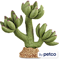 Imagitarium Pink Tipped Cactus Reptile Decor