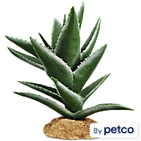Imagitarium Aloe Plant Reptile Decor