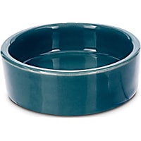 Imagitarium Ceramic Terrarium Dish for Reptiles