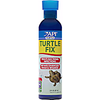 API Turtle Fix