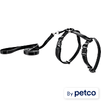 YOULY Kitten Harness & Leash Set