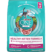 Purina ONE Healthy Kitten +Plus Formula High Protein Natural Dry Food