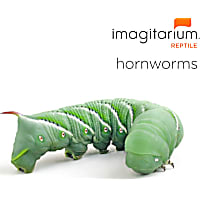 Hornworms