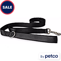YOULY 2-in-1 Dog Leash