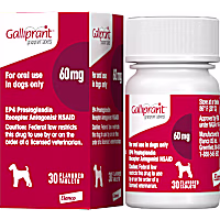 Galliprant 60 mg for Dogs