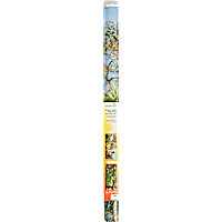 Imagitarium 20 Gallon Double-Sided Terrarium Background