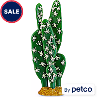 Imagitarium Cactus Terrarium Decor