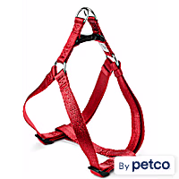YOULY The Classic Webbed Nylon Dog Harness