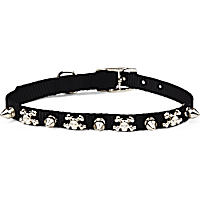 YOULY Bling Dog Collar