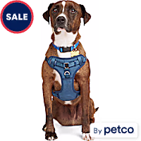 YOULY Padded Step-In Dog Harness