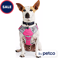 EveryYay Front Walking Reflective Dog Harness