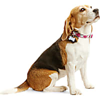 YOULY Geo Print Reflective Dog Collar