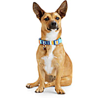 YOULY Striped Dog Collar