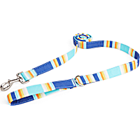 YOULY Blue & Orange Stripe Dog Leash