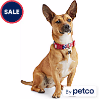 YOULY American Flag Dog Collar