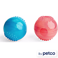 Leaps & Bounds Treat Dispensing Ball Assortment Dog Toy