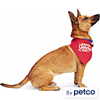 YOULY Happy Gotcha Day Dog Bandana