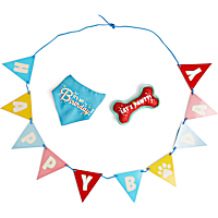 YOULY Birthday Photobooth Kit for Dog
