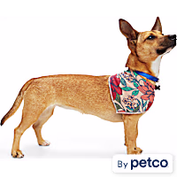 YOULY Floral Reversible Dog Bandana