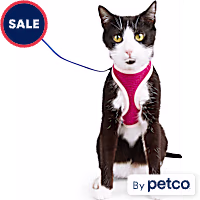 YOULY Mesh Cat Harness & Leash Set