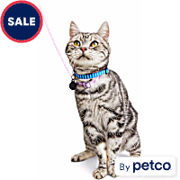YOULY Galaxy Kitten Harness & Leash Set