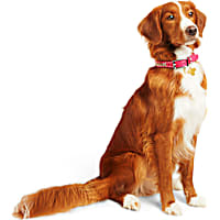 YOULY Leather Bling Pink Dog Collar