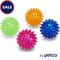 Leaps & Bounds Spiny Ball Assorted Dog Chew Toy