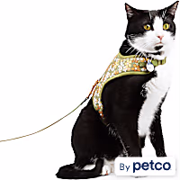 YOULY Retro Floral Cat Harness Set
