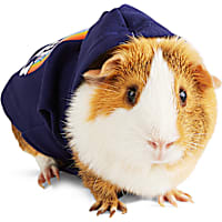YOULY Be You Small Animal Dog Hoodie