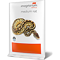 Imagitarium Frozen Medium Rat