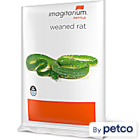 Imagitarium Frozen Weaned Rat