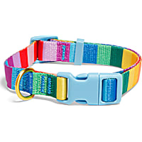 YOULY Pride Rainbow Stripe Dog Collar
