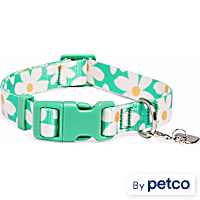 YOULY Daisy Dog Collar
