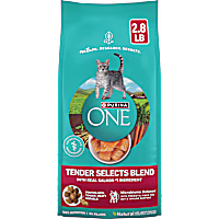 Purina ONE Natural Tender Selects Blend With Real Salmon Dry Cat Food