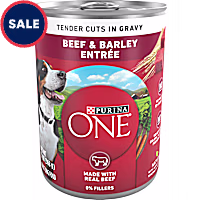 Purina ONE Tender Cuts in Gravy Beef and Barley Entree in Wet Dog Food Gravy