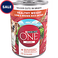 Purina ONE Plus Tender Cuts in Gravy Healthy Weight Lamb and Brown Rice Entree in Wet Dog Food