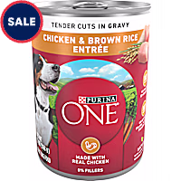 Purina ONE Tender Cuts in Gravy Chicken and Brown Rice Wet Dog Food