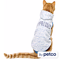YOULY Unimpressed Cat Hoodie