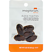 Imagitarium Dubia Cockroach
