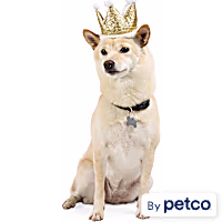 YOULY Birthday Crown Pet Hat