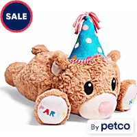 YOULY Birthday Jumbo Snuggle Dog Toy
