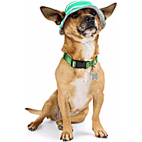 YOULY Adjustable Bucket Hat for Dogs