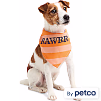 YOULY Rawrr Pet Bandana