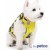 YOULY Ultimate Dog Floatation Vest