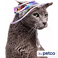 YOULY Iridescent Bucket Cat Hat