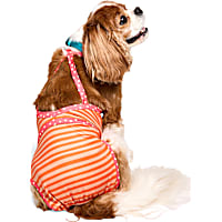 YOULY UPF-Protection One-Piece Dog Swimsuit