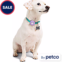 YOULY Tech Tag Holder for Pet Collars up to 1/2" W